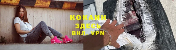 индика Баксан