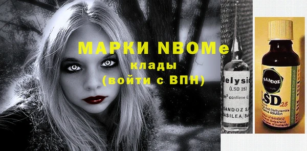 индика Баксан