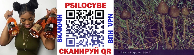 Псилоцибиновые грибы Psilocybine cubensis  блэк спрут как зайти  Холм  купить наркоту 