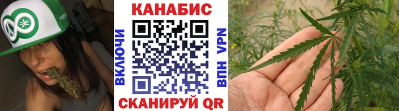 Шишки марихуана Amnesia  где продают   Холм 